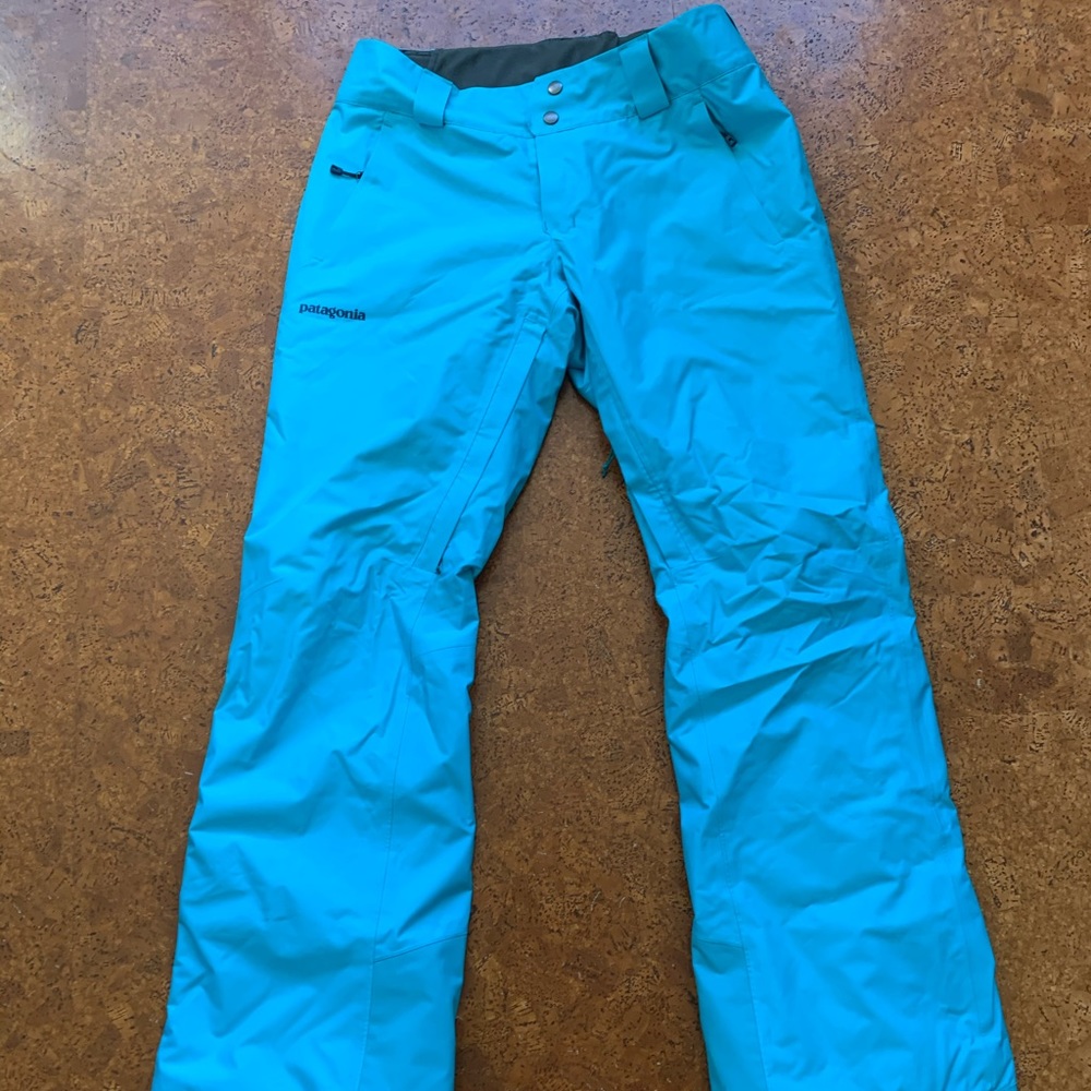 Patagonia H2no Snow Pants